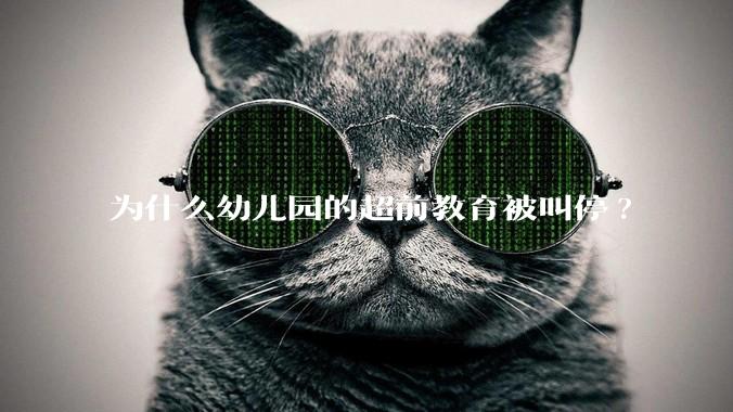 为什么幼儿园的超前教育被叫停?
